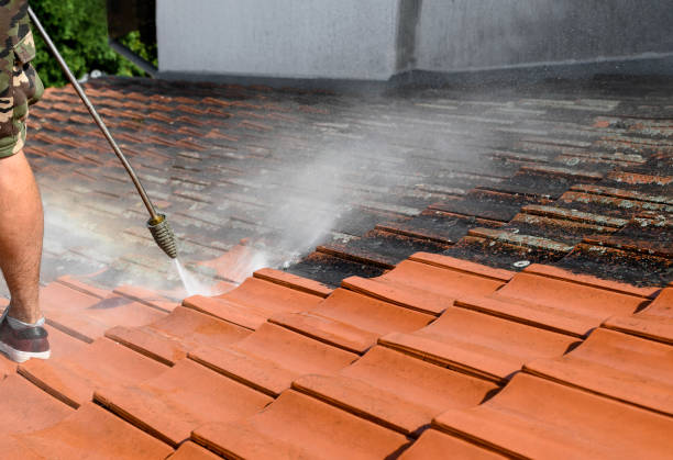Best Garage Pressure Washing  in Alvin, TX