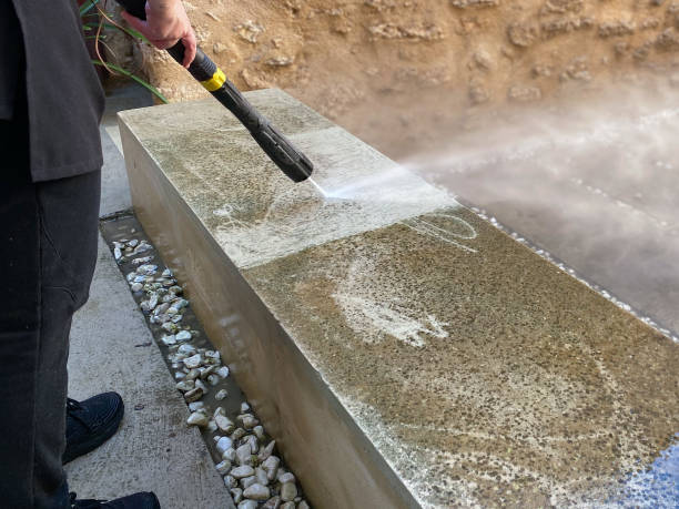 Best Roof Power Washing Services  in Alvin, TX