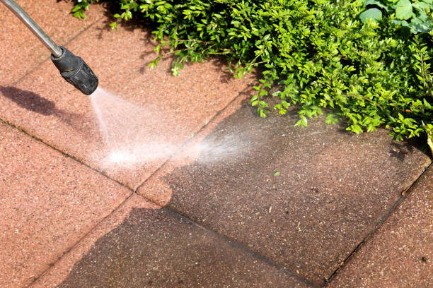 Best Pressure Washing Near Me  in Alvin, TX